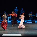 Noche Flamenca 2015_2015-07-25_113.jpg