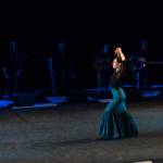 Noche Flamenca 2015_2015-07-25_89.jpg