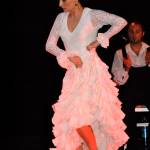 Noche Flamenca Photos_2012-06-30_220.jpg