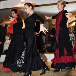 Flamenco_Opening_Pavel_2010-04-17_40.jpg