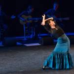 Noche Flamenca 2015_2015-07-25_86.jpg