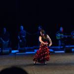 Noche Flamenca 2015_2015-07-25_98.jpg