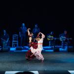 Noche Flamenca 2015_2015-07-25_110.jpg