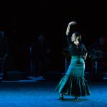 Noche Flamenca 2015_2015-07-25_82.jpg