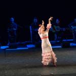 Noche Flamenca 2015_2015-07-25_103.jpg