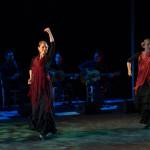 Noche Flamenca 2015_2015-07-25_41.jpg