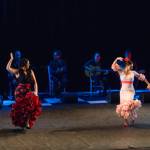 Noche Flamenca 2015_2015-07-25_96.jpg