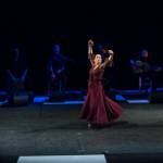 Noche Flamenca 2015_2015-07-25_58.jpg