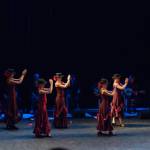 Noche Flamenca 2015_2015-07-25_76.jpg