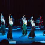 Noche Flamenca 2015_2015-07-25_69.jpg