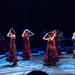 Noche Flamenca 2015_2015-07-25_73.jpg