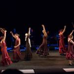 Noche Flamenca 2015_2015-07-25_56.jpg